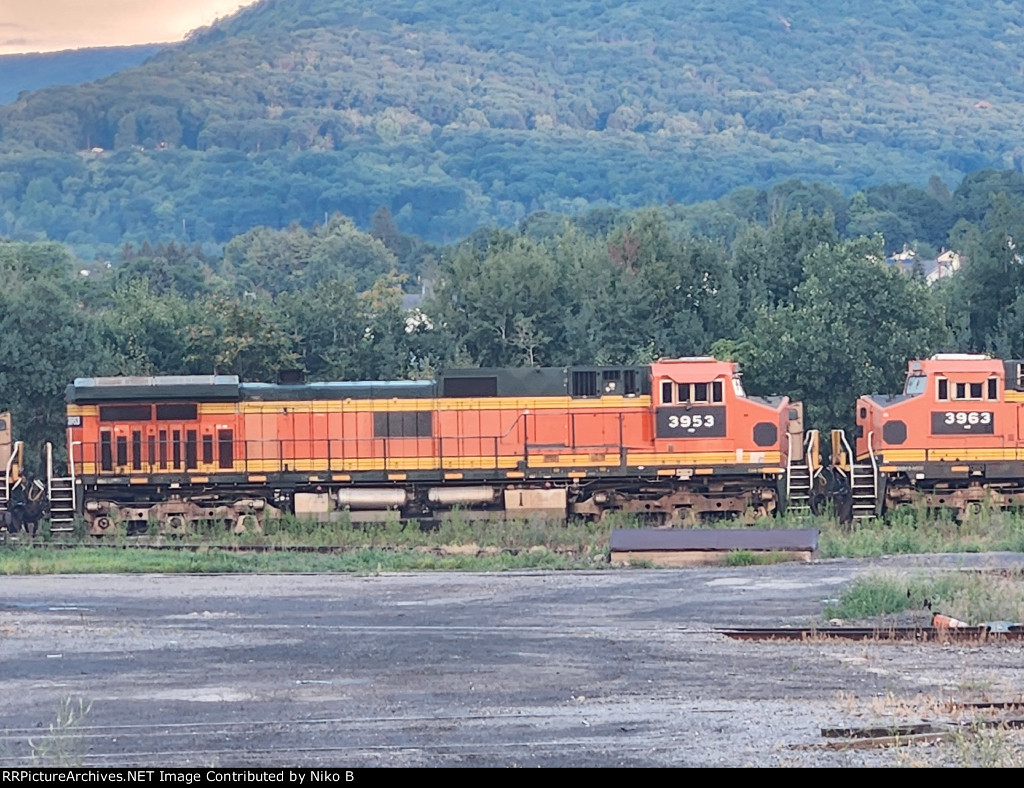 NS 3953